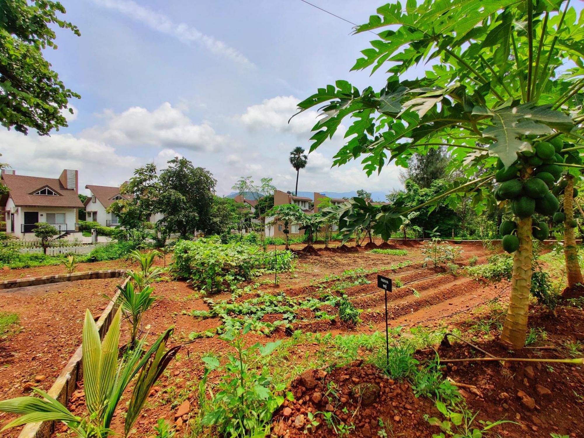 Pushpam Sanskruti Resort Karjat - A Pure Veg Resort Dhamni Extérieur photo